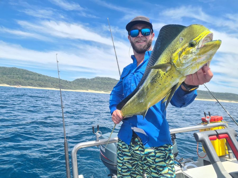 Dorado on an offshore charter