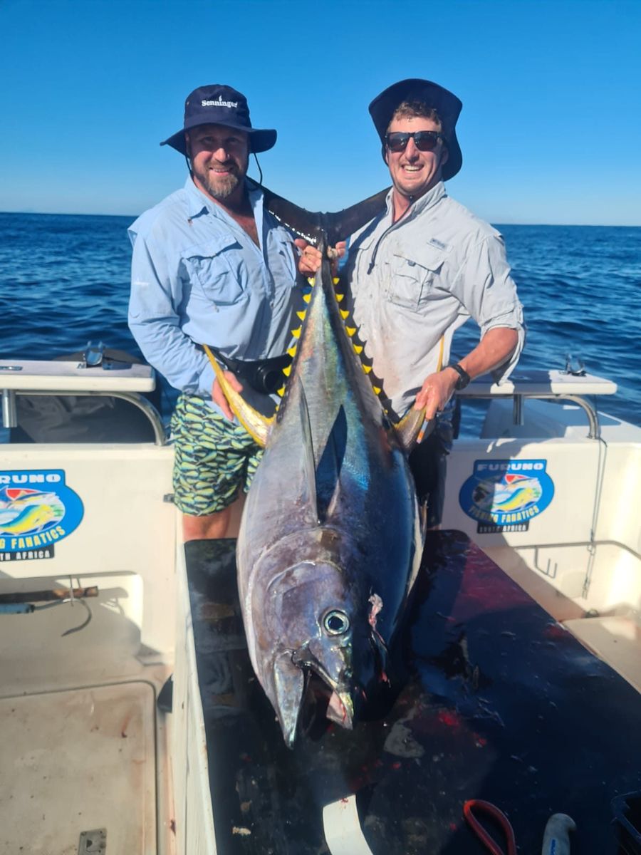 Tuna off Cape Point