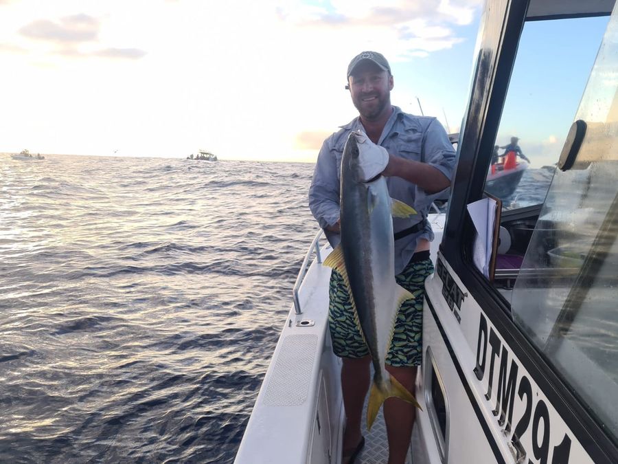 Yellowtail caught offshore