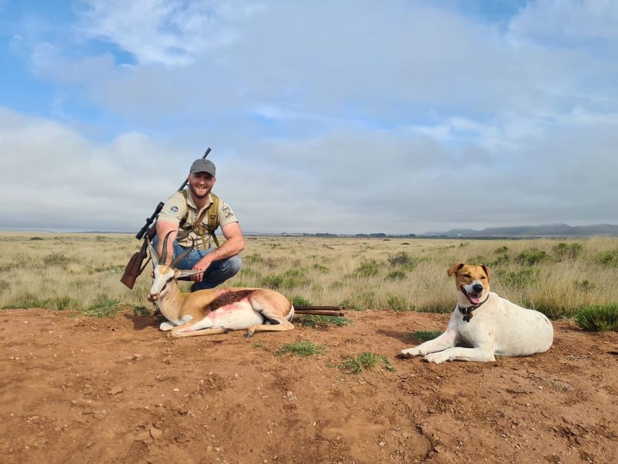 Springbok taken near the coast