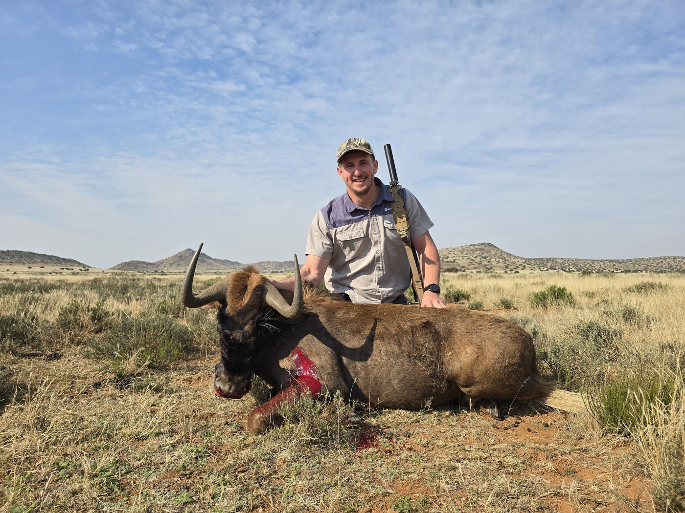 Black wildebeest taken on the open Karoo plains